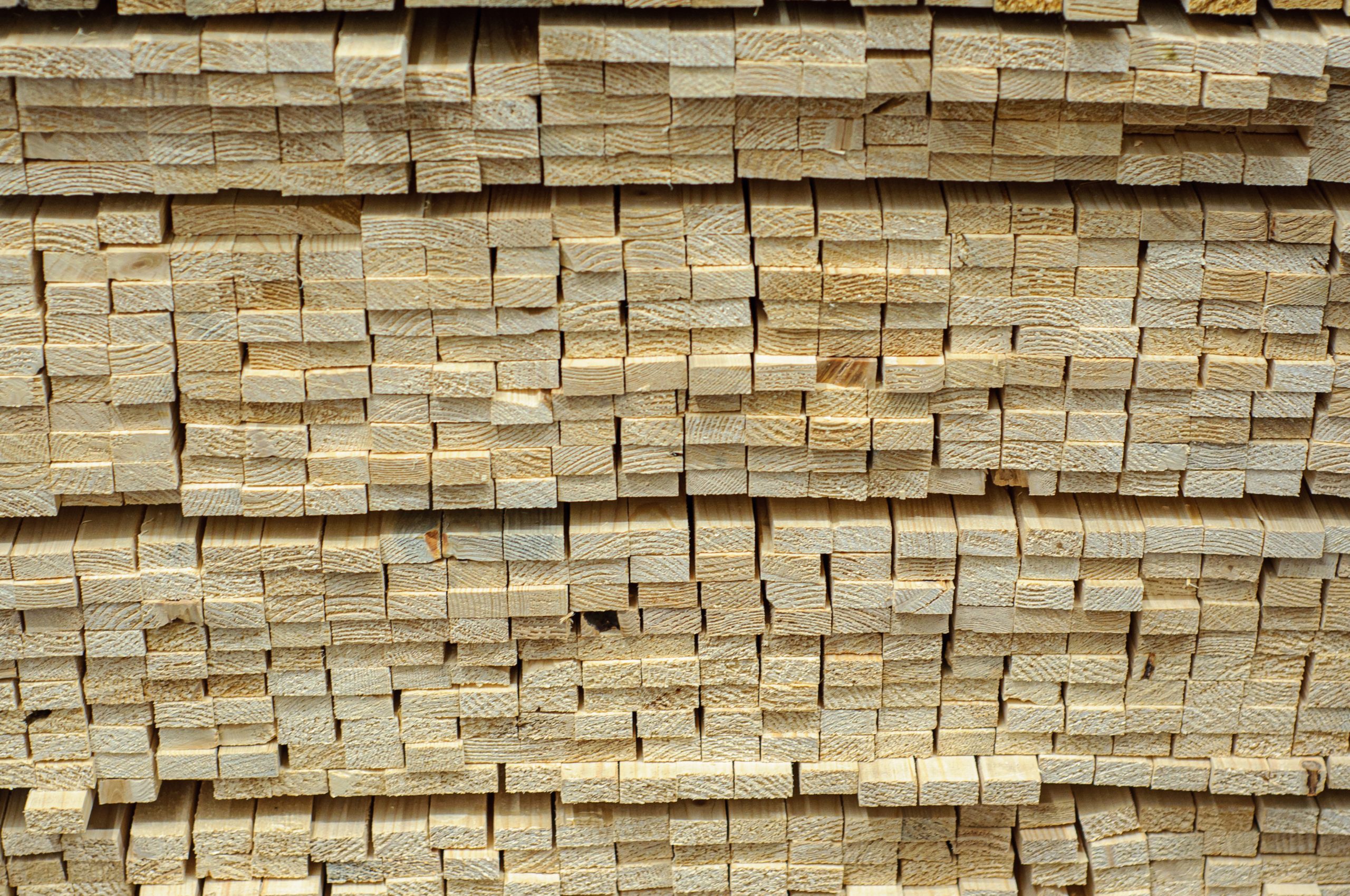 Softwood Lumber’s 28 Price Drop Wood Industry